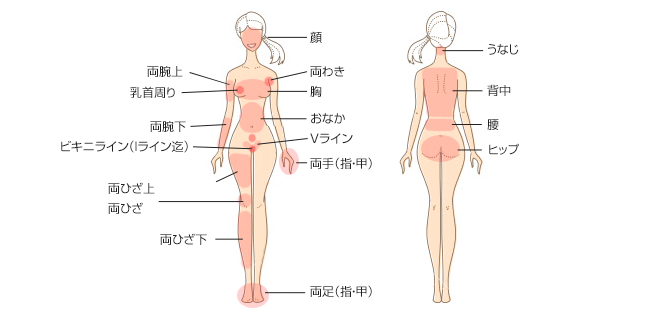 脱毛トリートメン料金表