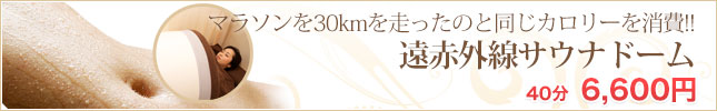 遠赤外線サウナドーム